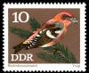 Colnect-669-850-Two-barred-Crossbill-Loxia-leucoptera.jpg