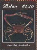 Colnect-4971-684-Angular-crab-Goneplax-rhomboides.jpg