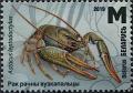 Colnect-5996-006-Narrow-Clawed-Crayfish-Astacus-leptodactylus.jpg