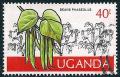 STS-Uganda-2-300dpi.jpg-crop-548x352at1814-2864.jpg