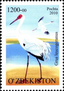 Colnect-854-422-Siberian-Crane-Grus-leucogeranus.jpg