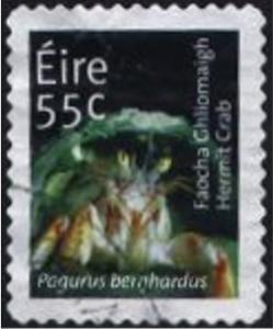 Colnect-1106-874-Hermit-Crab-Pagurus-bernhardus.jpg