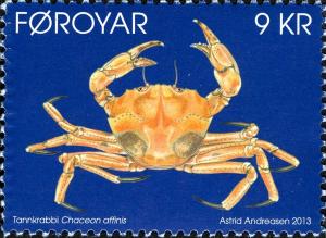 Colnect-1970-140-King-Crab-Chaceon-affinis.jpg