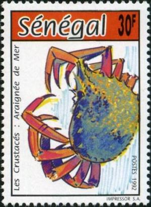 Colnect-2133-443-Spider-Crab-Maja-brachydactyla.jpg