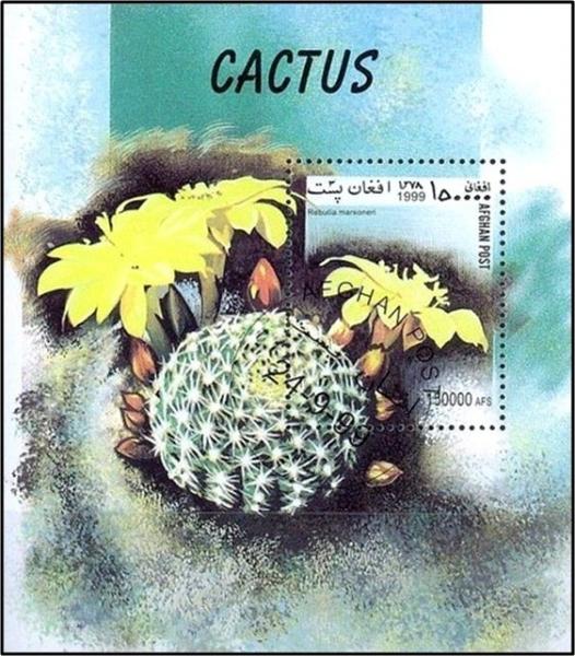 Colnect-2219-283-Krainz-rsquo--Crown-Cactus-Rebutia-marsoneri.jpg