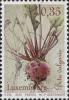 Colnect-3071-667-Root-Crops---Red-beetroot.jpg