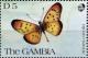 Colnect-2382-290-Pink-Acraea-Acraea-caecilia.jpg