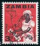 STS-Zambia-1-300dpi.jpg-crop-283x330at2242-288.jpg