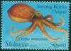 Colnect-2029-672-Two-spot-Octopus-Octopus-bimaculatus.jpg
