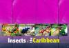 Colnect-6064-800-Insects-of-the-Caribbean.jpg
