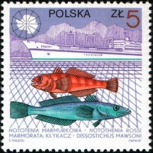 Colnect-1965-842-Marbled-Rockcod-Antarctic-Toothfish-and--quot-Zulway-quot-.jpg