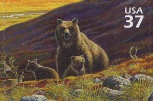 Colnect-202-148-Grizzly-Bear-Ursus-arctos-horribilis-Caribou-Rangifer-ta.jpg