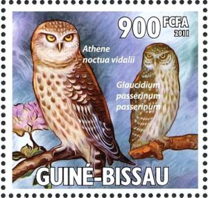 Colnect-3967-974-Little-Owl%C2%A0Athene-noctua-Eurasian-Pygmy-Owl-Glaucidium-p.jpg