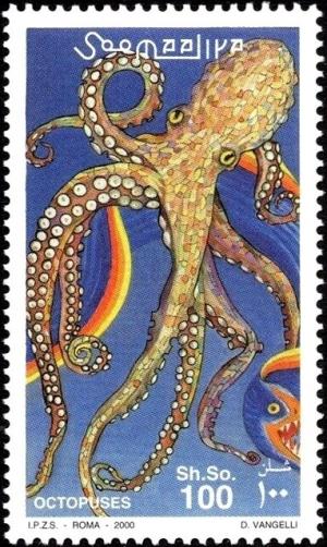 Colnect-6050-135-Common-octopus-Octopus-vulgaris.jpg