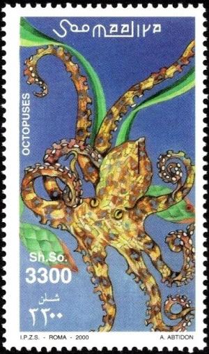 Colnect-6050-138-Common-octopus-Octopus-vulgaris.jpg