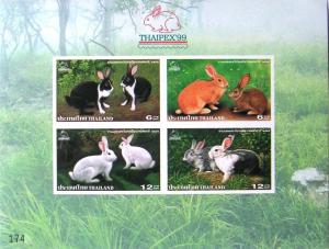 Colnect-953-273-Domestic-Rabbit-Oryctolagus-cuniculus-forma-domestica.jpg