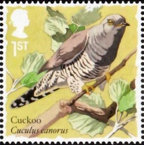 Colnect-4271-525-Common-Cuckoo-Cuculus-canorus.jpg