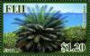 Colnect-1612-745-Cycas-seemannii.jpg