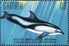 Colnect-4698-203-Pacific-white-sided-dolphin.jpg