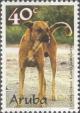 Colnect-982-104-Creole-Domestic-Dog-Canis-lupus-familiaris.jpg
