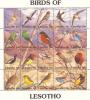 Colnect-1725-587-Endemic-Birds---MiNo-945-64.jpg