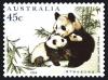 Colnect-1472-378-Giant-Panda-Ailuropoda-melanoleuca.jpg