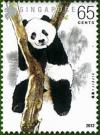 Colnect-2141-525-Giant-Panda-Ailuropoda-melanoleuca.jpg