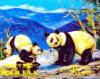 Colnect-3355-373-Giant-Panda-Ailuropoda-melanoleuca.jpg
