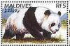 Colnect-4917-143-Giant-Panda-Ailuropoda-melanoleuca.jpg