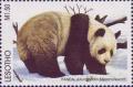 Colnect-1736-219-Giant-Panda-Ailuropoda-melanoleuca.jpg