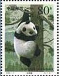 Colnect-2199-101-Giant-Panda-Ailuropoda-melanoleuca.jpg