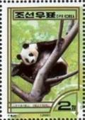 Colnect-2262-821-Giant-Panda-Ailuropoda-melanoleuca.jpg