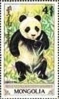 Colnect-2865-166-Giant-Panda-Ailuropoda-melanoleuca.jpg