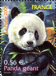 Colnect-4150-378-Giant-Panda-Ailuropoda-melanoleuca.jpg