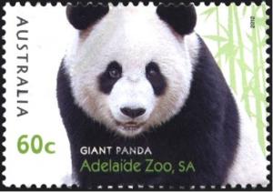 Colnect-1554-584-Giant-Panda-Ailuropoda-melanoleuca.jpg