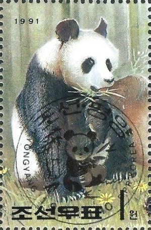 Colnect-2862-501-Giant-Panda-Ailuropoda-melanoleuca.jpg