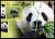 Colnect-6091-974-Giant-Panda-Ailuropoda-melanoleuca.jpg