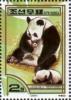 Colnect-2262-824-Giant-Panda-Ailuropoda-melanoleuca.jpg