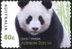 Colnect-6285-963-Giant-Panda-Ailuropoda-melanoleuca.jpg