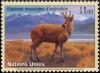 Colnect-2542-562-North-Andean-Deer-Hippocamelus-antisensis.jpg