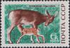 Colnect-3242-251-Red-Deer-Cervus-elaphus.jpg
