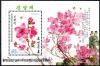 Colnect-3728-235-Rhododendron-mucronulatum.jpg