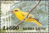 Colnect-3807-351-African-Golden-Oriole-Oriolus-auratus.jpg