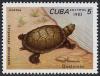 Colnect-852-468-Cuban-Slider-Chrysemys-decussata.jpg