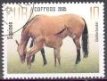 Colnect-1275-700-Gelderlander-Equus-ferus-caballus.jpg