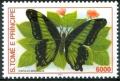 Colnect-2548-774-Broad-Green-Banded-Swallowtail-Papilio-bromius.jpg