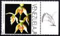 Colnect-2995-957-Epidendrum-Ferrugineum.jpg