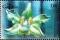 Colnect-4716-362-Dendrobium-engae.jpg