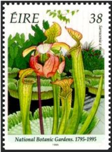Colnect-1787-575-National-Botanic-Gardens-1795-1995---Sarracenia-x-moorei.jpg
