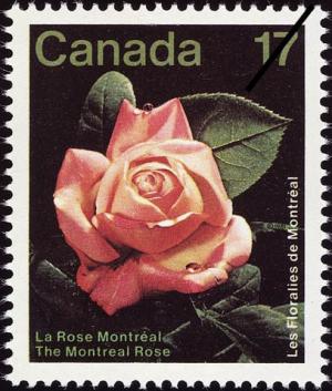 Colnect-1011-317-Les-Floralies-de-Montr%C3%A9al-The-Montreal-Rose.jpg